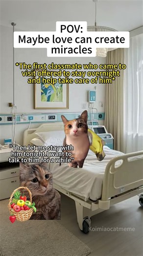 CAT MEMES🐱Maybe love can create miracles #catmemes #memes #funnymemes #funny #foryou #relationship