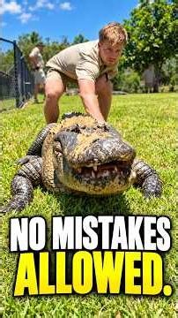 What to Do If a Crocodile Attacks You 🐊