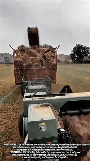 Hay Packing Machine Turns Grass Into Perfect Agricultural Packages