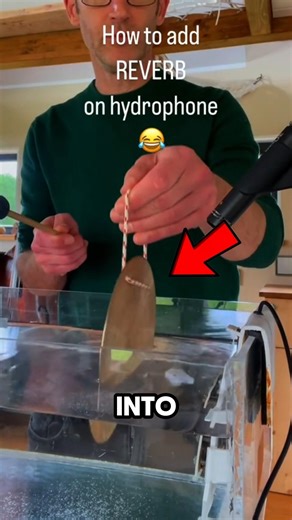 This Is Why Whale Sounds Travel Across the Entire Ocean 🌊