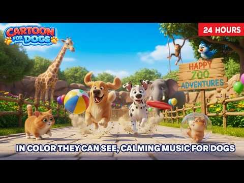 Cartoons for Dogs to Watch 🎨🐕 Blue & Yellow Colors Dogs Love🐶 Fun Dog TV All Day Long