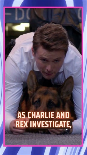 Hudson & Rex Season 9 'What Is Diana Taverner Hiding About Sid Baker?' #hudsonandrex