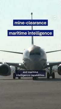 What can Germany do to ensure the Strait of Hormuz remains open? | DW News