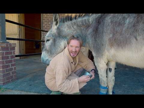 HUGE ANNOUNCEMENT! | My Donkey Escaped And Got Chewed Out | Farm Chores With Matt Mathews