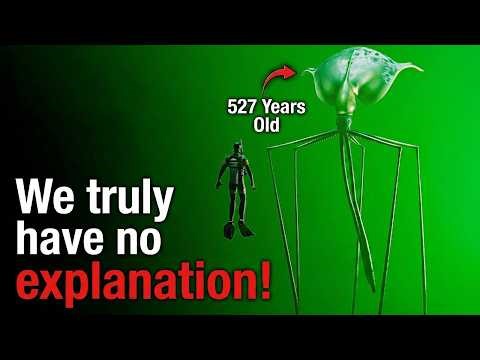 Why the Deep Ocean is Scarier (and More Alien) Than Space
