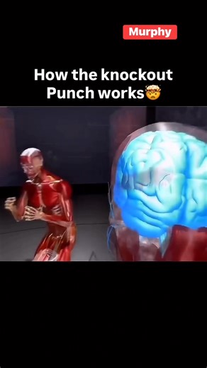 A knockout punch is a devastating, well-timed strike delivered with such force, precision, and speed that it overwhelms the opponent’s ability to stay conscious or maintain balance, instantly ending the fight and often leaving a lasting impression due to its dramatic and decisive impact. If you enjoyed this video, please leave a like, subscribe, and turn on notifications so you don’t miss the next one. Courtesy:Punchify | Murphy's Boxing Gym