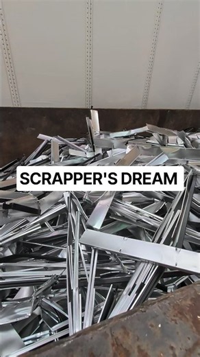 A SCRAPPER'S DREAM| DUMPSTER DIVING