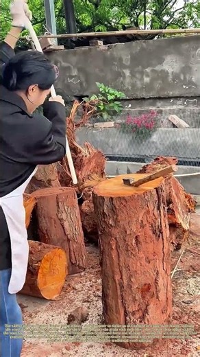 Splitting the Tough Way: How a Farmer Uses a Maul and Axe to Split Logs