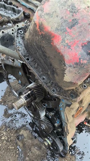 Truck Engine Repair Work #sorts #mechanic #truckrepair