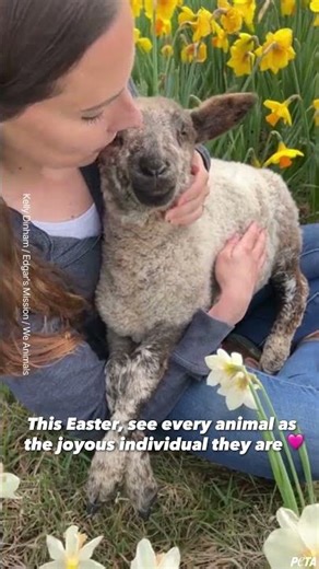 This Easter, see every animal as the joyous individual they are ❤️