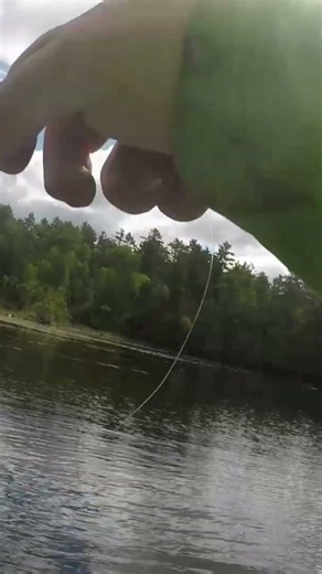 ontario bass cast to catch #130 #fishing #bassfeatured #bassfishing #fish #bass #largemouthbass