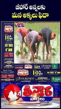 Labour Shortage Hits Yasangi Season, Bihar Workers Step In for Paddy Plantation | V6 Teenmaar