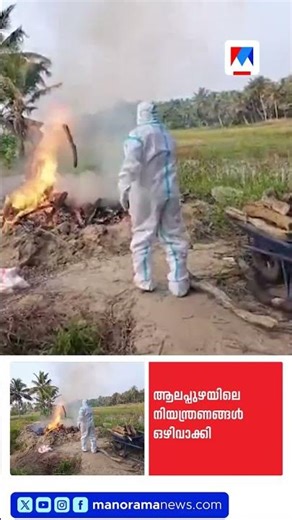 ചിക്കൻ, മുട്ട വിൽപനയ്ക്ക് അനുമതി; ആലപ്പുഴയിൽ പക്ഷിപ്പനി നിയന്ത്രണങ്ങൾ നീക്കി #Alappuzha #BirdFlu