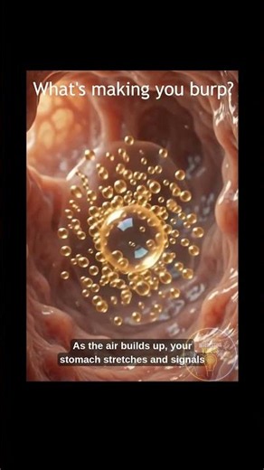 What's making you burp? It's not always the food you ate. #interestingfacts #humanbody #facts