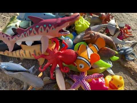 Shoreline Sea Animal Toy Hunt Adventure! Finding Blue Tang, Octopus, Goblin Shark & More 🦈🐙🌊