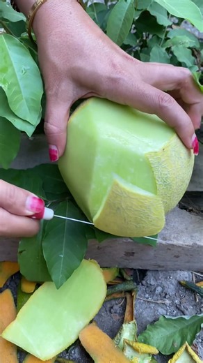 Cara Kupas Melon #melon