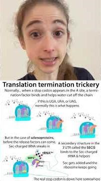 Acting "in-cis" vs. "in-trans": cis vs. trans-regulatory/acting elements/factors