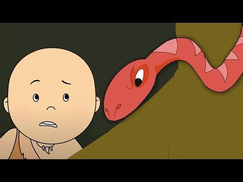 Caillou VS Snake| Caillou - WildBrain | Learning for Children