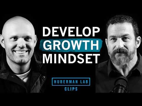 How to Develop a High Growth Mindset | James Clear & Dr. Andrew Huberman