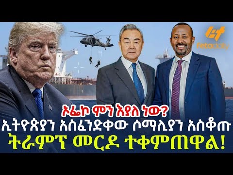 Ethiopia - ኢትዮጵያን አስፈንድቀው ሶማሊያን አስቆጡ | ትራምፕ መርዶ ተቀምጠዋል!