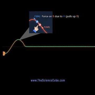 Why Do Waves Move? | Tension, Newton’s 3rd Law & Wave Speed