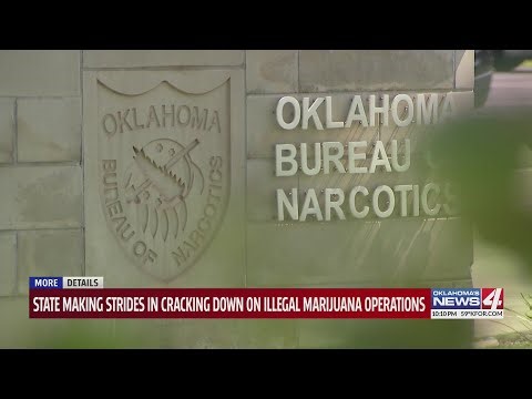 State making strides in cracking down on illegal marijuana operations