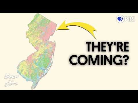 Why Bees Are Swarming Our Cities