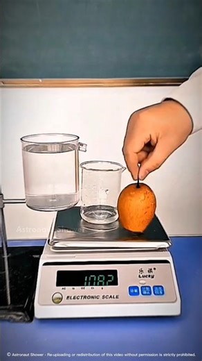 The Science Behind Water Displacement | Archimedes Principle | #shorts