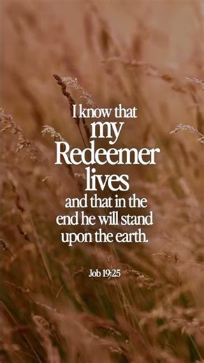 Today’s Scripture | Daily Bible Verse & Encouragement | Life Media Networks