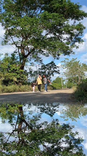 Country Road Symmetry