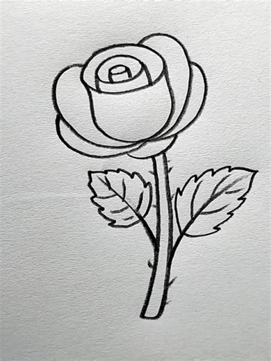 Step-by-Step Beginner Rose Drawing Tutorial
