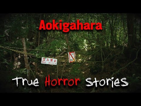 3 Scariest TRUE Aokigahara Horror Stories (Vol. 1)