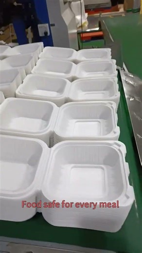 #clamshellcontainers#takeawaycontainers #foodtrays#foodcontainerfactory #disposablefoodcontainers