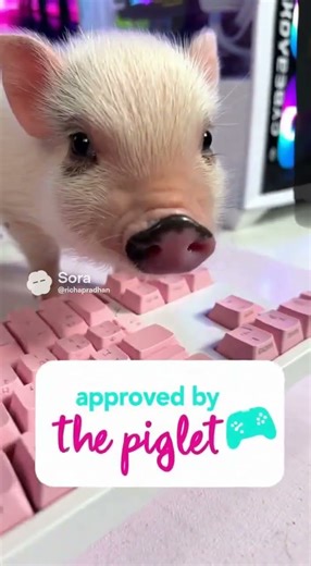 CyberPowerPC - Gaming Desktop - AMD Ryzen 7 9700X - NVIDIA GeForce RTX 5070 Ti 16GB - 32GB DDR5