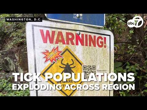 Tick populations exploding across region, expert warns