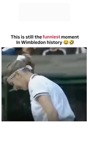 f1 on Instagram: "video revives a 1996 Wimbledon classic where a fan shouts “Steffi, will you marry me?” to Steffi Graf during her match; her instant quip, “How much money do you have?” , showcases her sharp, unflappable humor amid high-stakes play. - Shared by tennis fan @Djoko_UTD on December 27, 2025, the post exploded to 42,000+ likes and 2 million views, sparking replies tying the joke to Graf’s real 2001 marriage to Andre Agassi after years of mutual admiration. - This mic’d-up exchange un