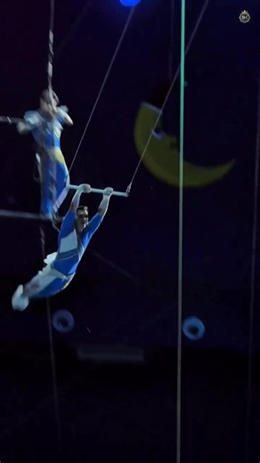 Impossible Flying Trapeze Catch 😱 | Circus Stunt That Shocked Everyone! 🎪🔥