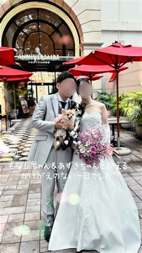 【ペット婚】もなかちゃん＆あずきちゃんと迎える結婚式｜アニヴェルセル表参道💍🐶🤍