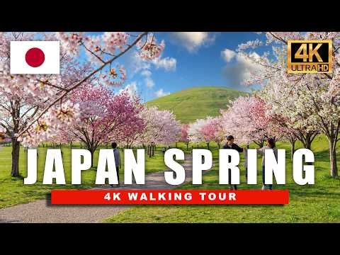 [4K] Peaceful Spring in Japan Walk — Long Relaxing Sakura Walk in Japanese Villages, Parks & Tokyo