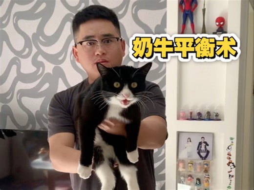 关于我老公莫名其妙的平衡术表演