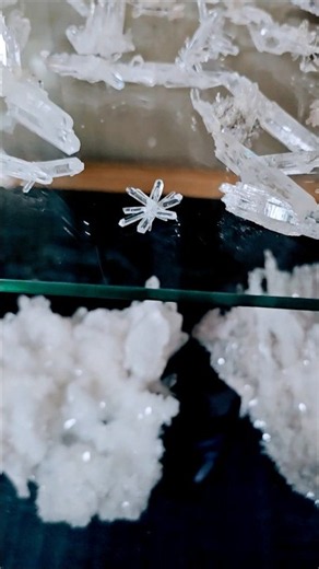 Crazy Quartz Crystal 💎 Formations in Arkansas ⛏️#crystals #arkansas #amazing #Quartz #foryou