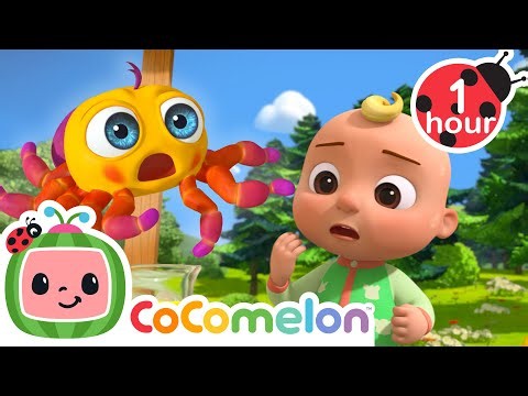 My Itsy Bitsy Little Spider Buddy 🕸️ CoComelon - Animal Time | Nursery Rhymes for Babies