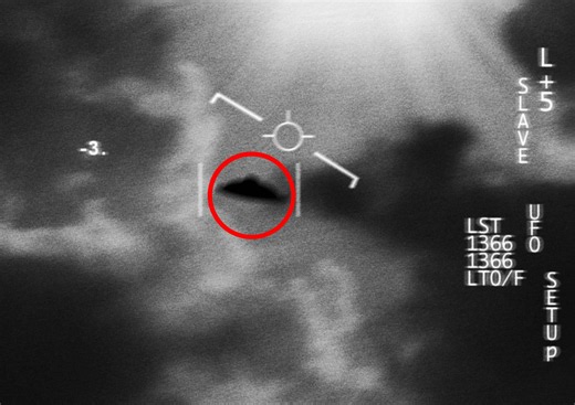 UFO insider claims US has bodies of 4 different alien species from downed spacecraft in government custody