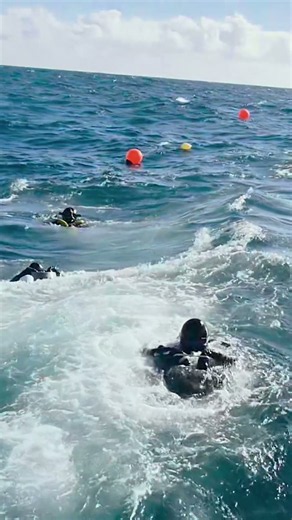 The moment before the plunge #WreckDiving #ScubaLife #Diving