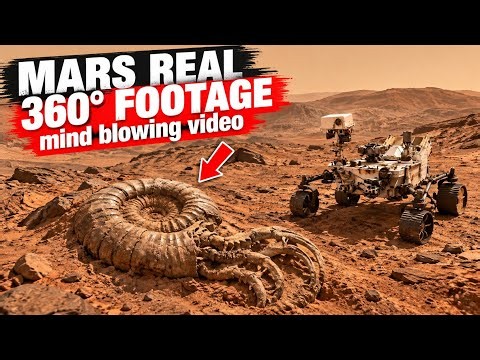 NASA's Perseverance Rover Captures Most Super Intriguing 360° 4K Mars Footage | Mars Real Footage