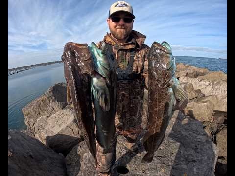 Best Jetty Trip In YEARS!!! Lingcod Heaven