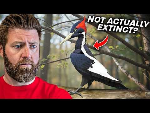 5 More Extinct Animals I Believe Could Still Be Alive