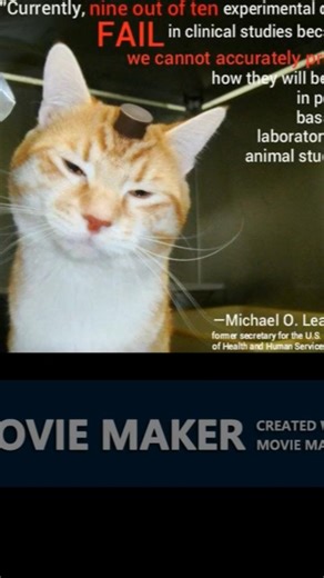 US government spent over $200 million dollars testing on dogs in the animal testing industry #crime