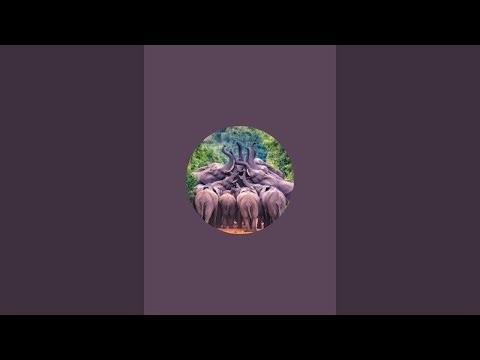Elephant Soul
