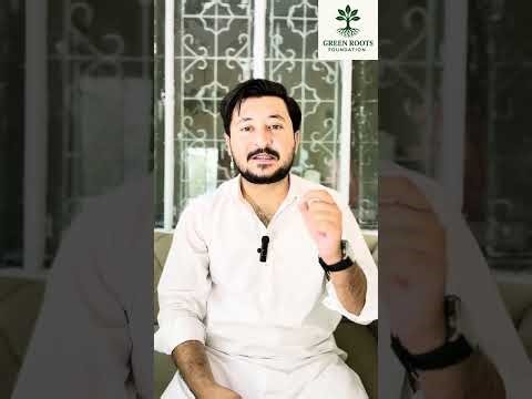 Fighting Climate Change: How YOU Can Make a Difference | Green Roots Foundation